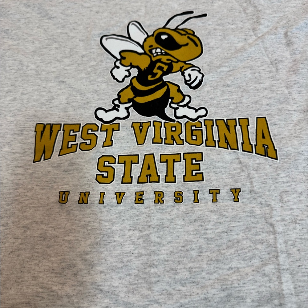 Gildan Gray West Virginia State University Tee size large - Picture 2 of 4